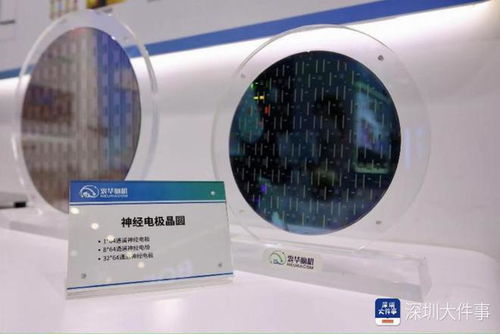 看 高交會上的這些科技 狠活